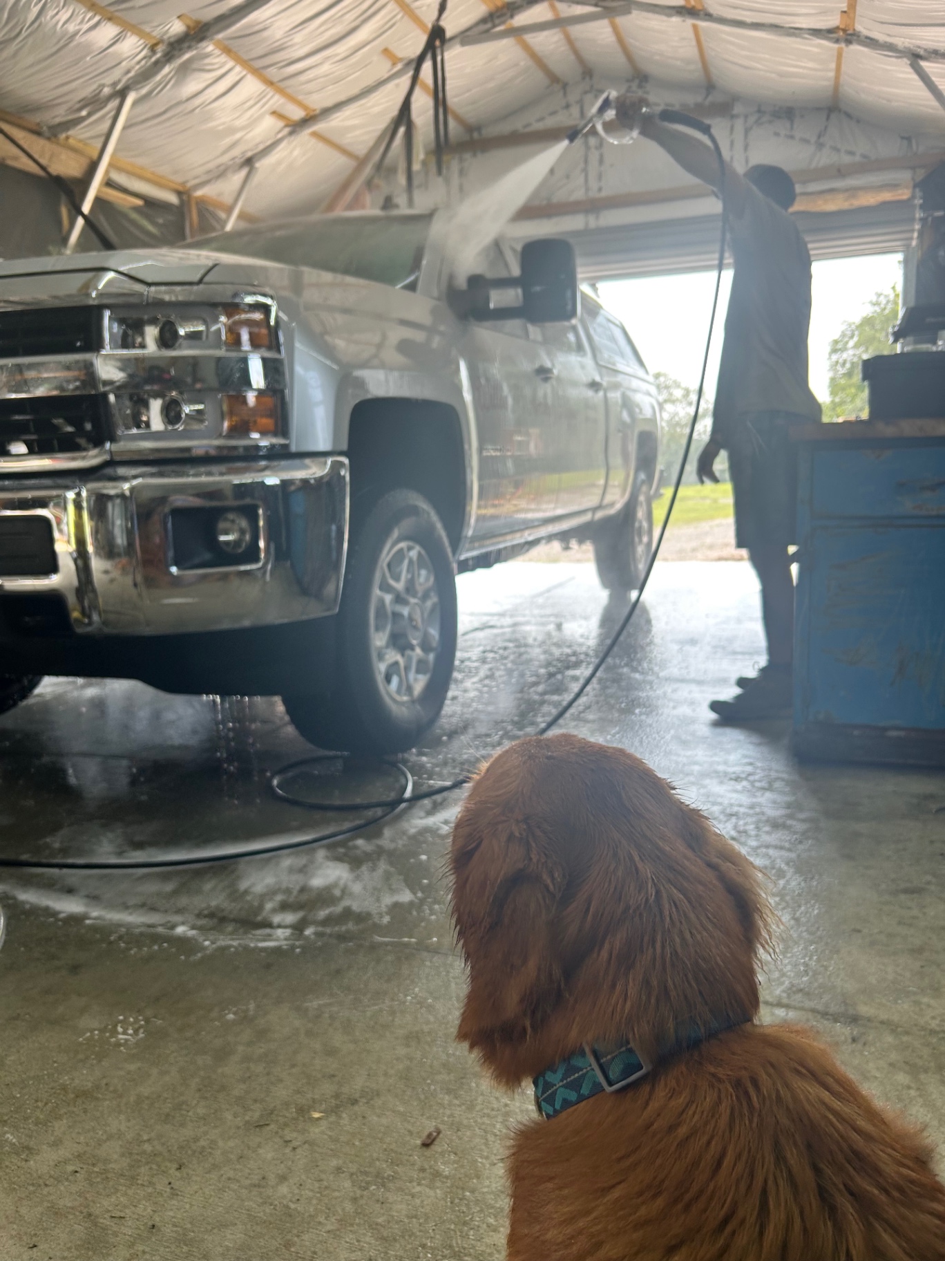 Truck being pressure rinsed while a golden dog watches